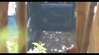 Spying on a hooker two