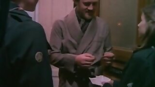 Tiny tove definitive collection