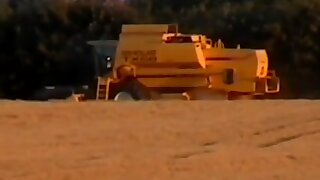 Aerlig amatoer porno 4 banana affair (full movie)